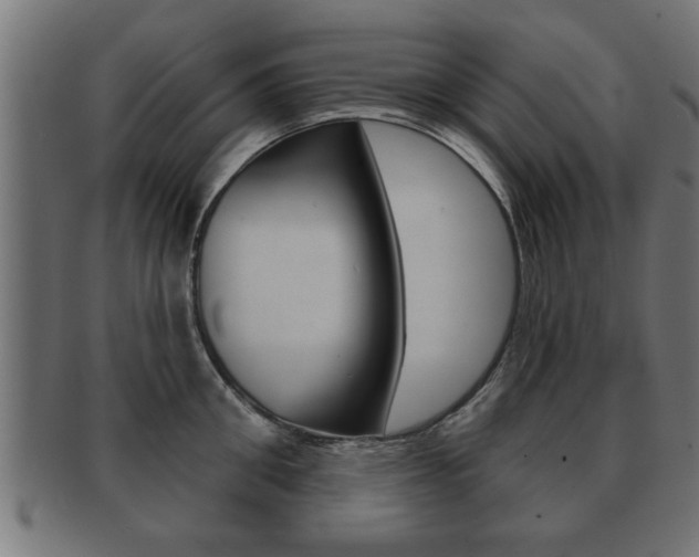 X0000091950906200709061037