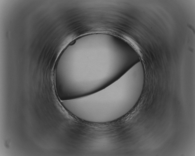 X0000091950907200709061037