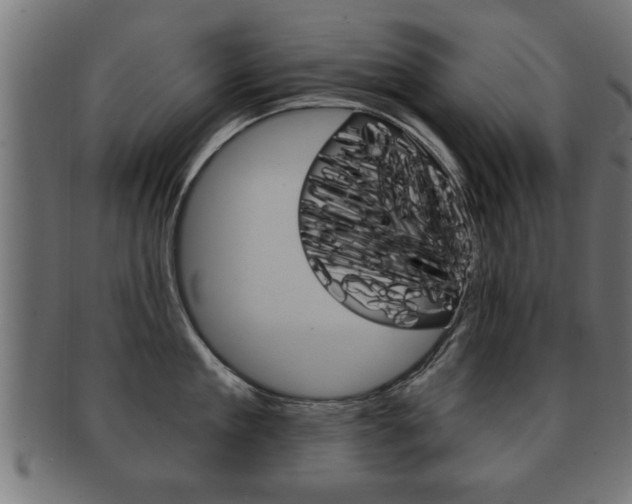 X0000091950909200709061037