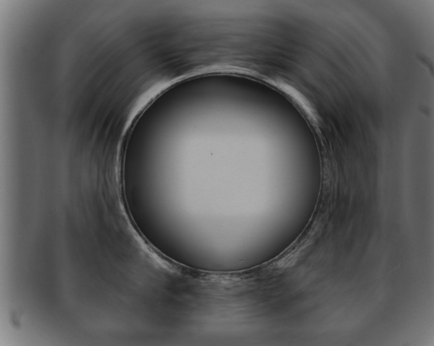 X0000091950910200709061037
