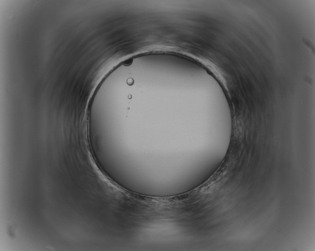 X0000091950911200709061037