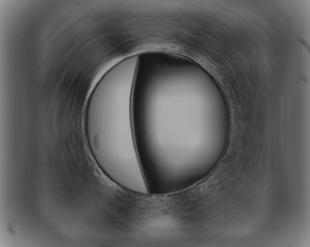 X0000091950912200709061037