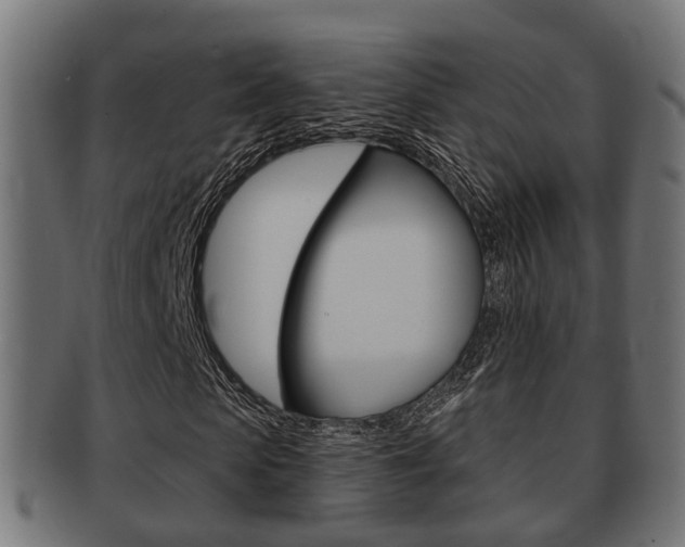 X0000091950913200709061036