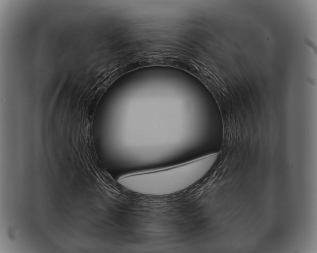 X0000091950914200709061036