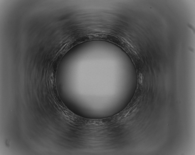 X0000091950915200709061036
