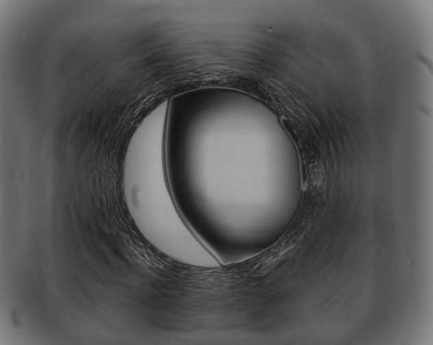 X0000091950916200709061036