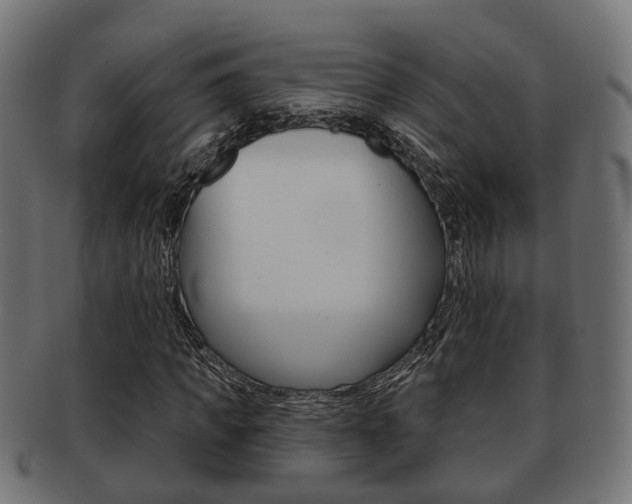 X0000091950917200709061036