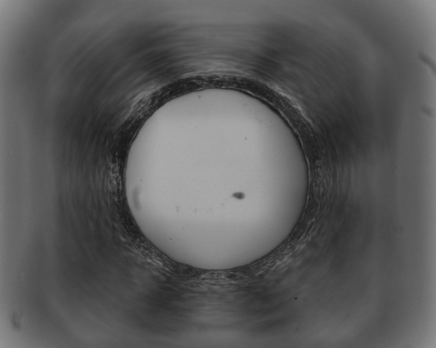 X0000091950918200709061036