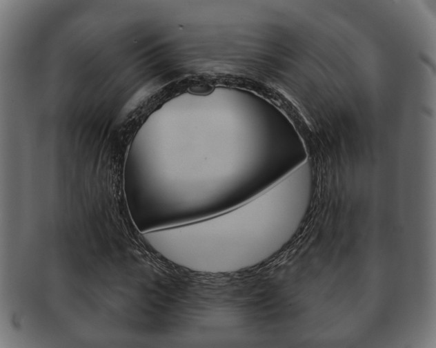 X0000091950919200709061036