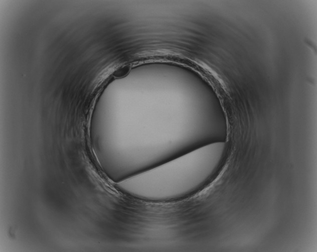 X0000091950921200709061036