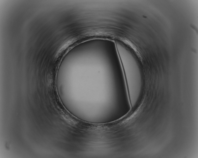 X0000091950922200709061036