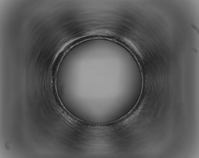 X0000091950923200709061037