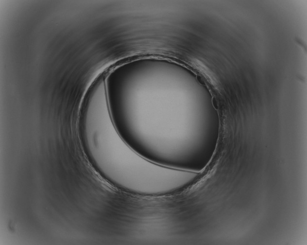 X0000091950924200709061037