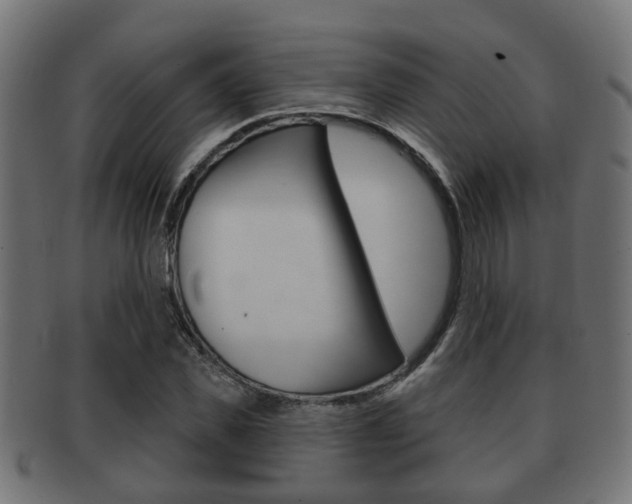 X0000091950925200709061037