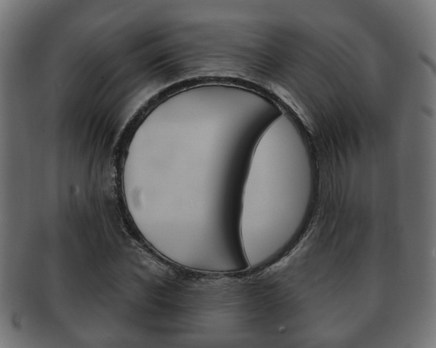 X0000091950926200709061037