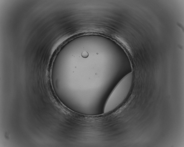 X0000091950928200709061037
