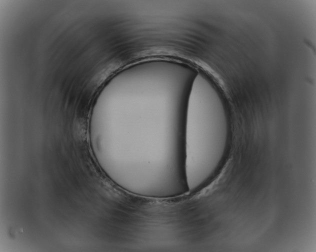 X0000091950929200709061037