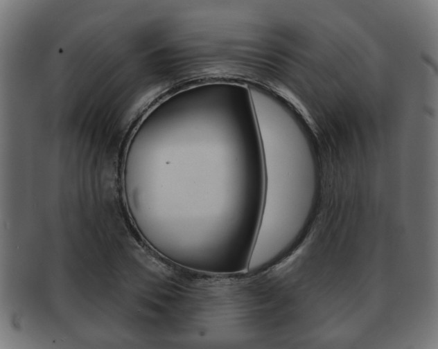 X0000091950930200709061037
