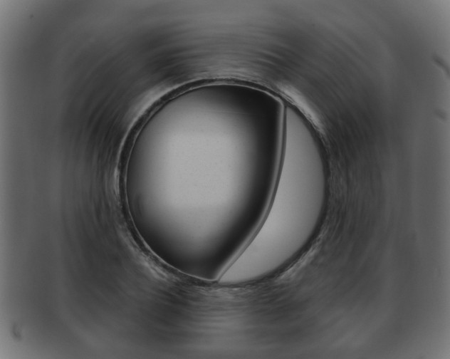 X0000091950932200709061037