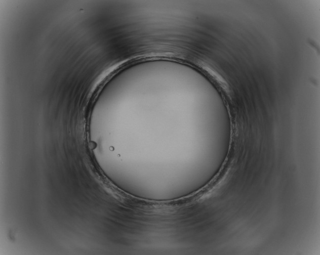 X0000091950933200709061037