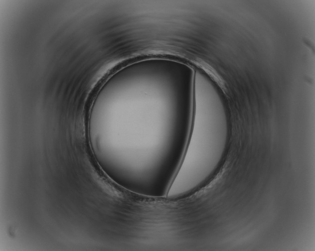 X0000091950934200709061037
