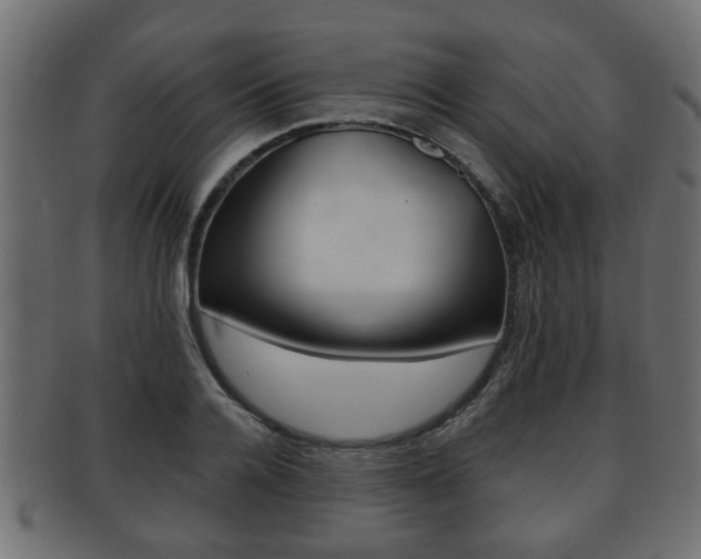 X0000091950936200709061037