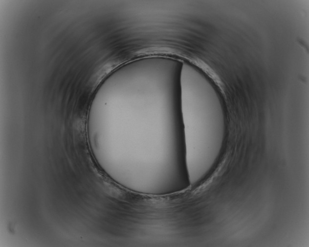 X0000091950937200709061037