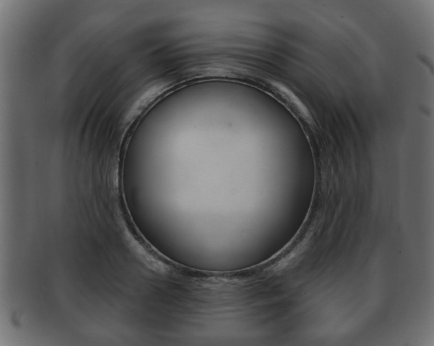 X0000091950938200709061037