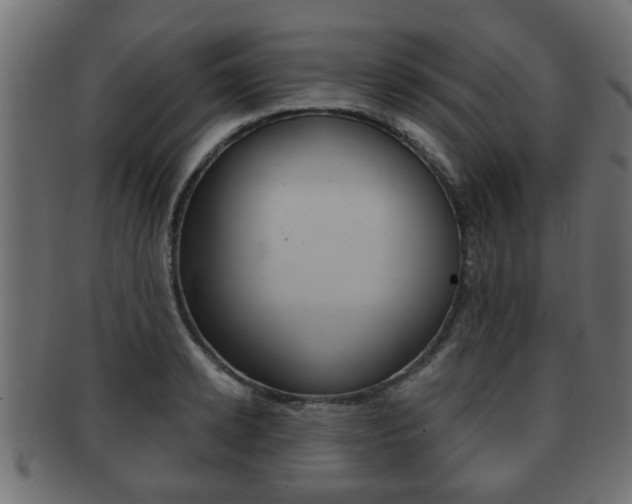 X0000091950942200709061037