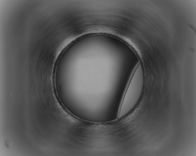 X0000091950943200709061037