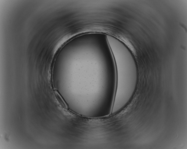 X0000091950944200709061037
