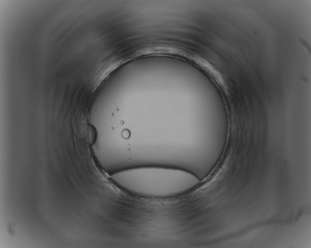 X0000091950945200709061037