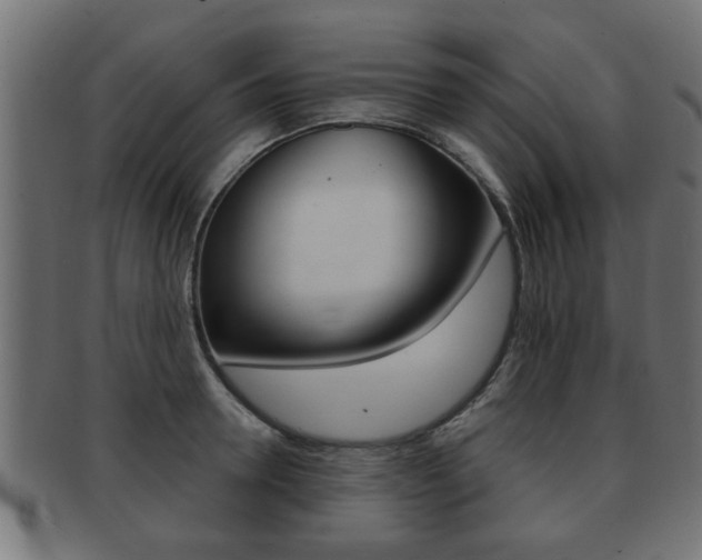 X0000091950946200709061037