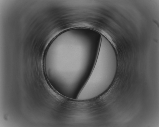 X0000091950947200709061037