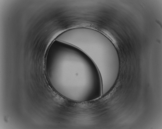 X0000091950948200709061037