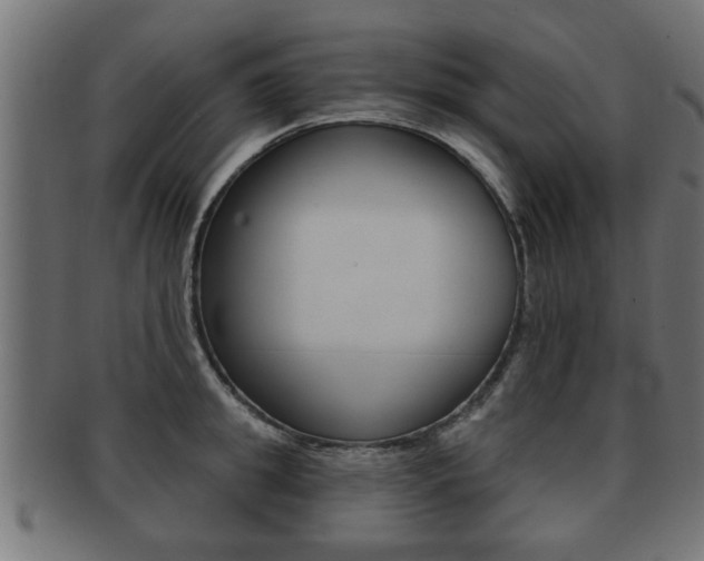 X0000091950949200709061037
