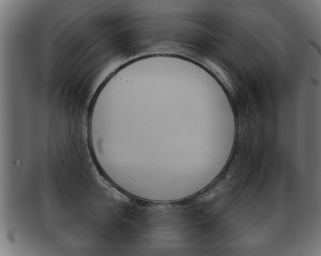 X0000091950950200709061037