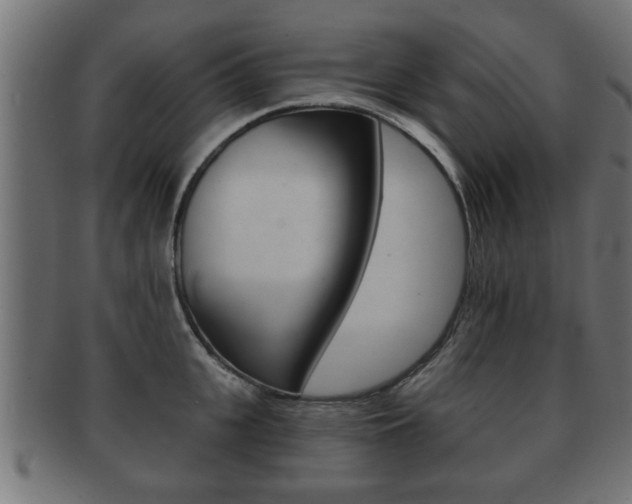 X0000091950951200709061037