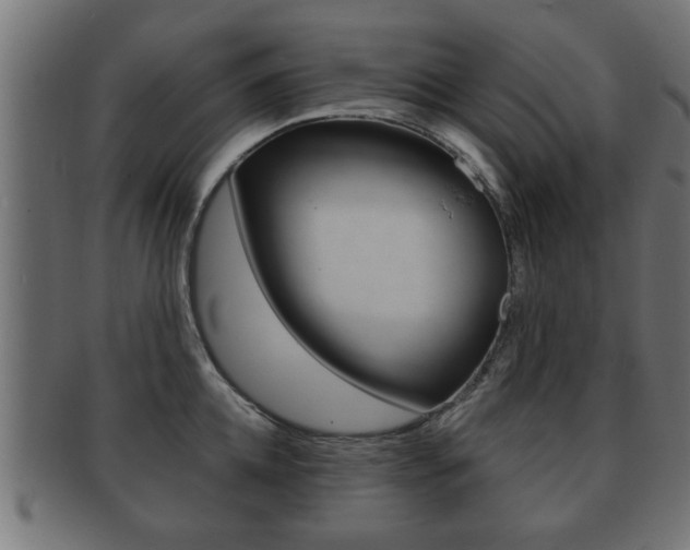 X0000091950952200709061037
