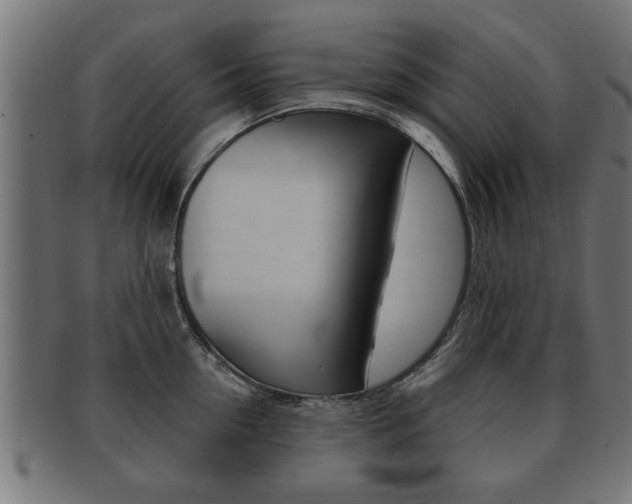 X0000091950954200709061037