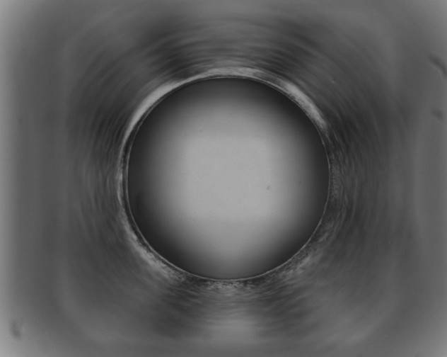 X0000091950955200709061037
