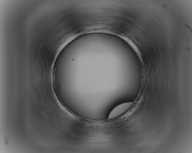 X0000091950957200709061037
