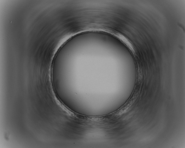 X0000091950958200709061037