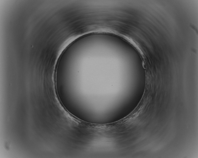 X0000091950959200709061037