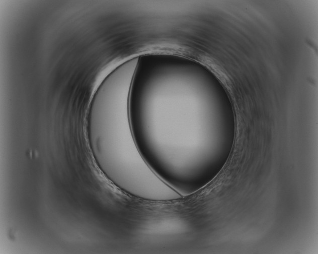 X0000091950960200709061037