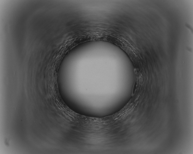 X0000091950961200709061036