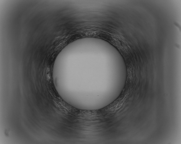 X0000091950962200709061036