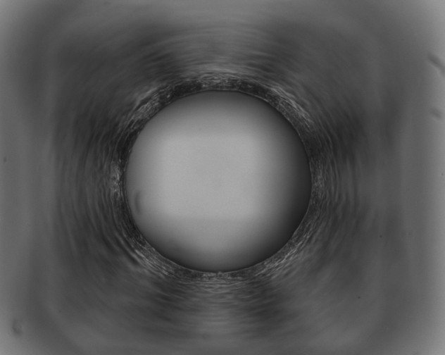 X0000091950964200709061036