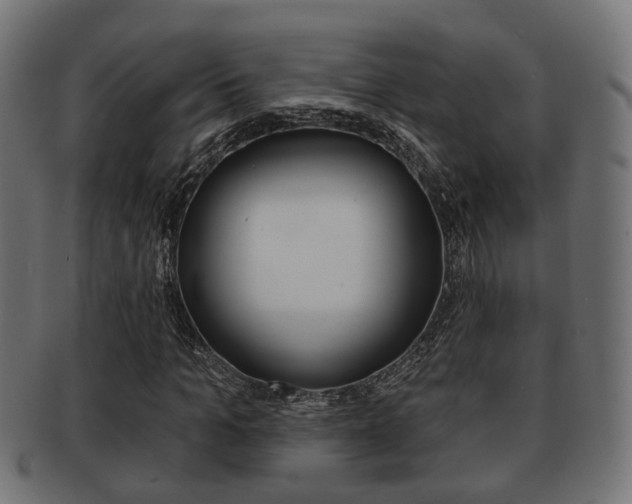 X0000091950965200709061036