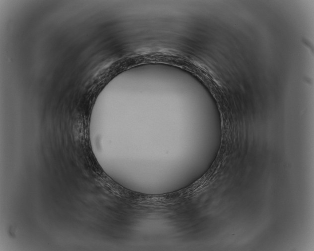 X0000091950966200709061036